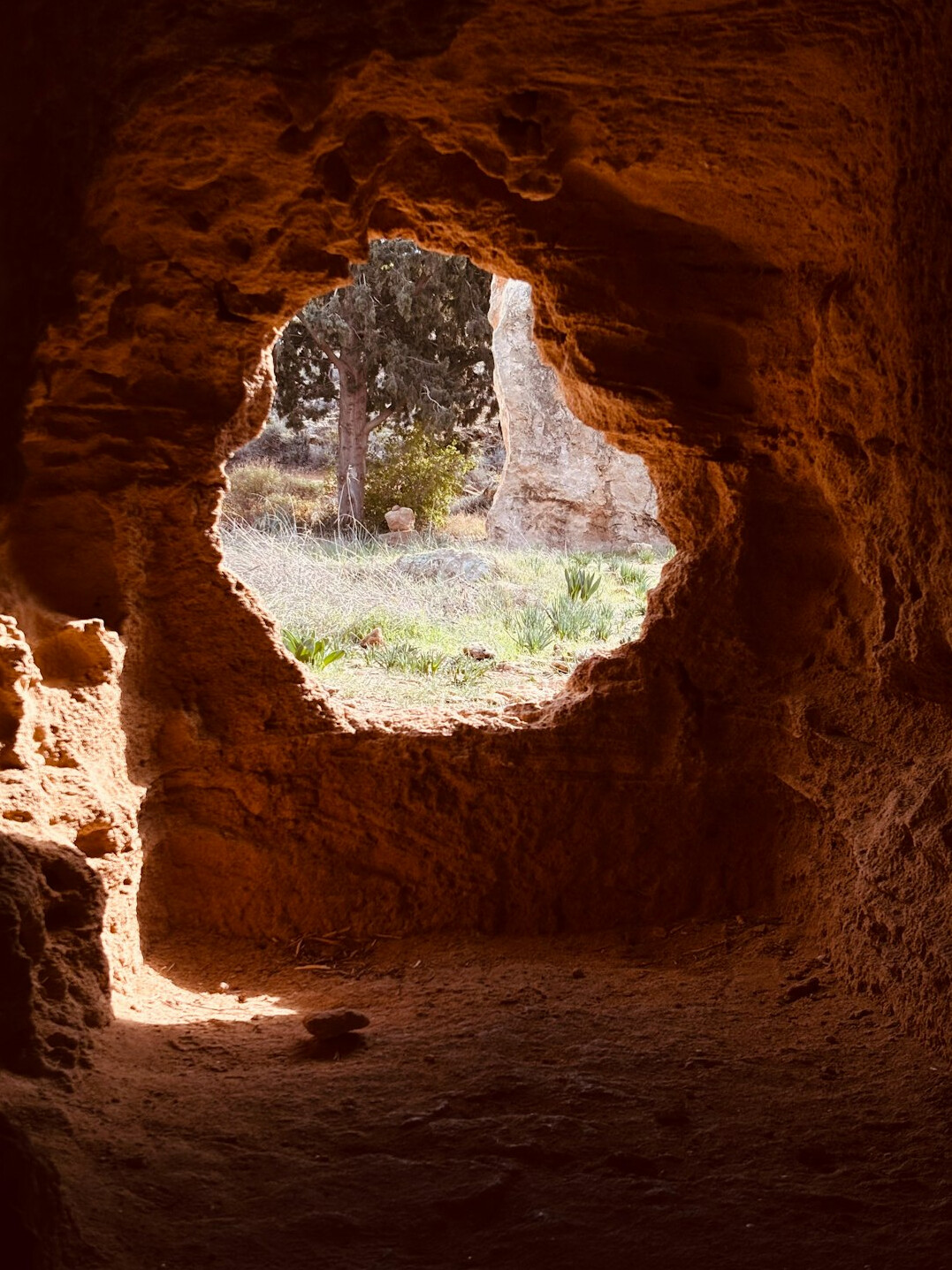ancient tomb excavation