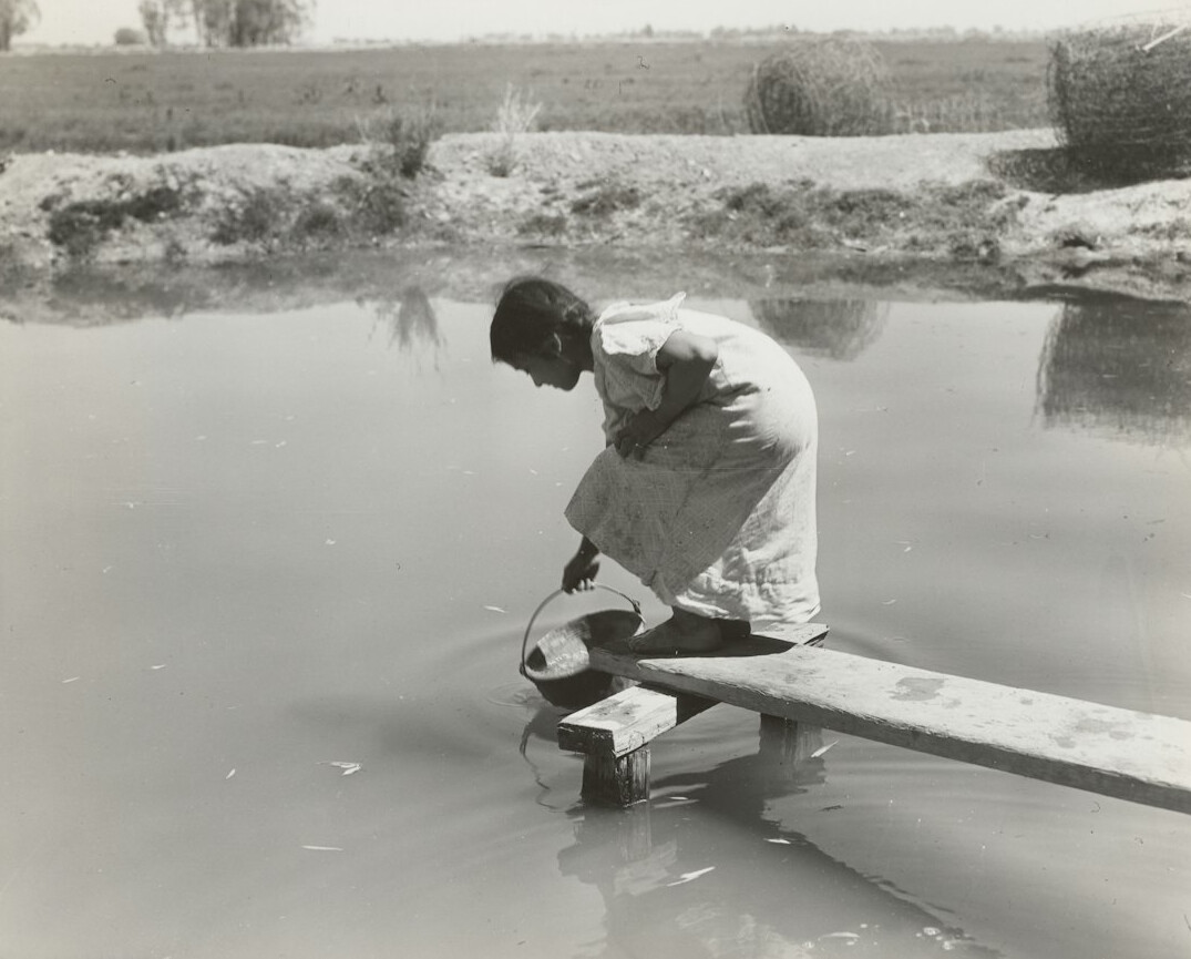 scientist testing water